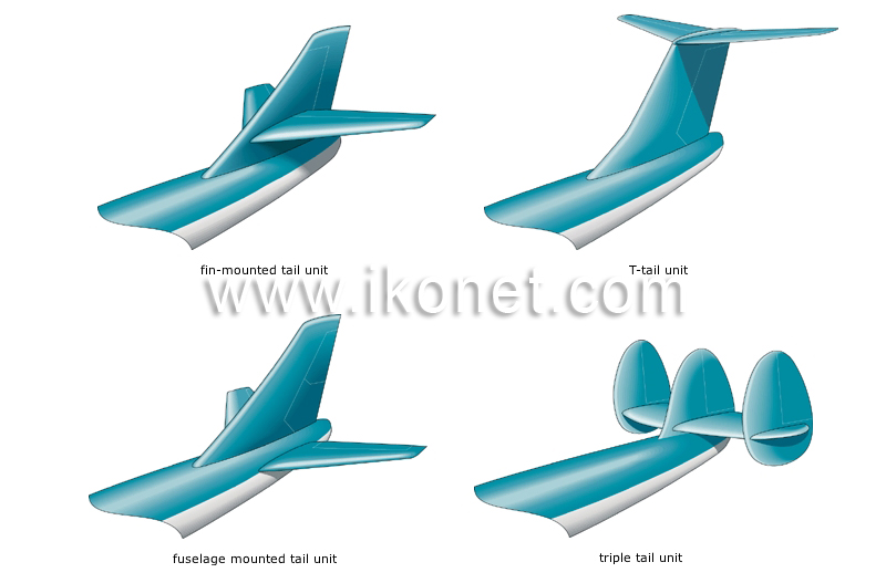 examples-of-tail-shapes-16520.jpg