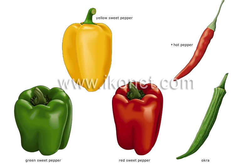 are bell peppers fruits