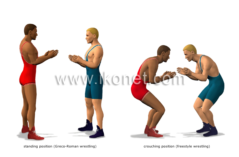 sports and games > combat sports > wrestling > starting positions image ...