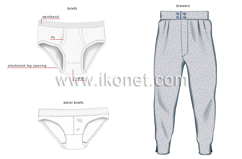 https://www.ikonet.com/en/visualdictionary/images/us/underwear-12700.jpg