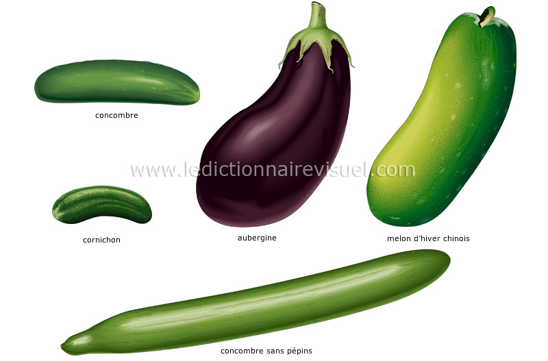 https://www.ikonet.com/fr/ledictionnairevisuel/images/qc/legumes-fruits-59632.jpg