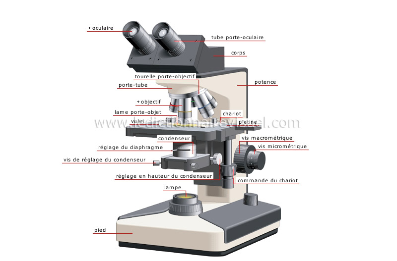 Groupe des jeunes sages - MICRISCOPE OPTIQUES Le microscope optique est  composés de deux grandes partie quinm sont : 1 partie mecanique avec deux  système de support et de réglage .
