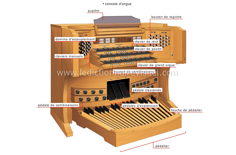 arts et architecture > musique > instruments à clavier > orgue