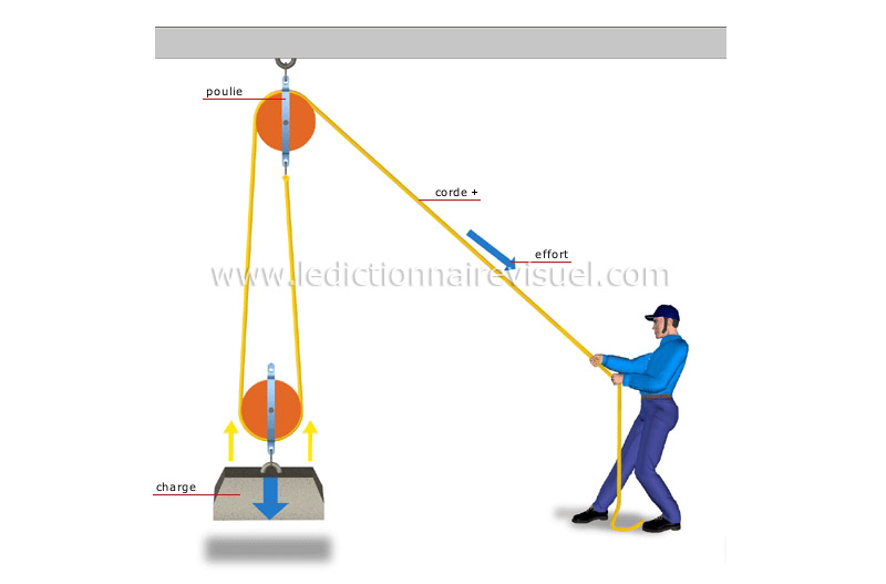 science-physique-m-canique-syst-me-deux-poulies-image